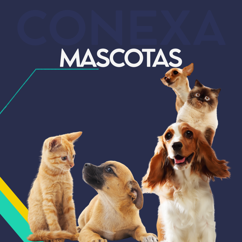 Mascotas
